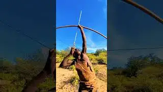 ​🎯 Incredible Flight Shooting! Fast-Paced Waterfowl Hunt: Birds In Flight Action (Full Day Hunt)