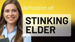 Stinking elder | STINKING ELDER definition