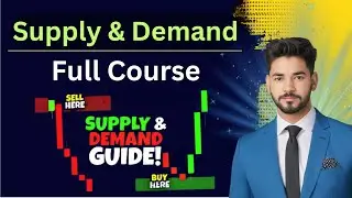 Master Supply & Demand Zones Trading