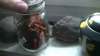 Jarring Dried Peppers