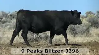 9 Peaks Blitzen J396