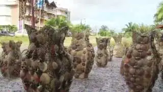 TUMACO 2014