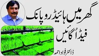 Dr  Fawwad Ahmad | Hydroponic Fodder for Future Livestock Production in Pakistan @ 03336506207