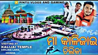 🌊 Chilika Lake Tour Vlog | Maa Kalijai Temple | Nature, Boating, Dolphins | Odisha Travel Vlog 2025
