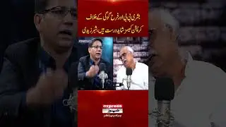 Corruption cases against Bushra Bibi and Farah Gogi are probably true, Shabbar Zaidi