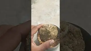 यह किया है 😮😮 #shortsfeed #freestylerap #vlog #trendingshorts #shorts