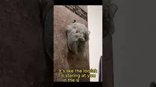 Weird Looking Faces in Everyday Objects #weird #shortvideo #pareidolia