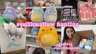 squishmallow hunting | summer squish, hello kitty hunting, jumbo squishmallows @ costco