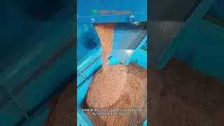 Chile Customer's BS-D30 Copper Wire Separator Machine Runs Super Well  #wiregranulator #wirechopper