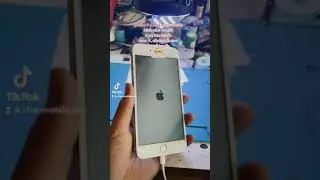Iphone 6plus lcd backlight not working