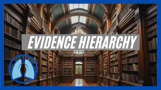 The Evidence Hierarchy