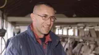 Farma krava i proizvodnja mleka u selu Badovinci - U nasem ataru 768