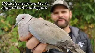 Day 8: Raising & Cooking Doves Jalape&ntilde;o Poppers -- 31 Day Homegrown Food Challenge. Shawn Woods