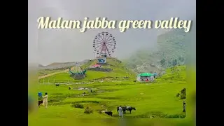 Swat beautiful place malam jabba green valley park #nature