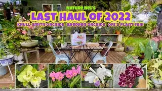 A WONDERFUL ORCHID HAUL Join me in this great haul from 3 different locations. Amazing new finds🤗