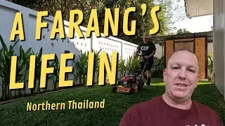 Life in Northern Thailand | A Week of Real Daily Living in Chiang Mai