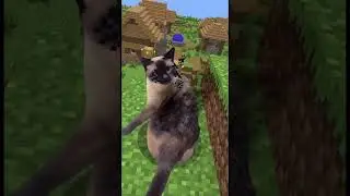 Этот кот только что попал в Ад... В реальной жизни. 🔥