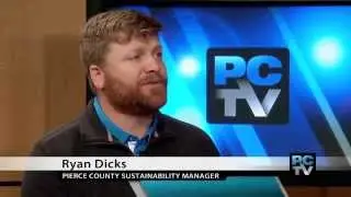 Sustainability Month: CFL or LED light bulbs?