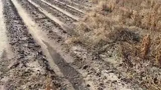 Ancient Guilford Yuma! ~ 7. Indian Artifact Find! Nov 2017