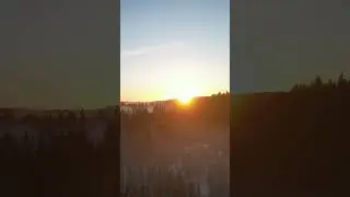 Silent Winter Sunset Over Misty Forest 🌲❄️