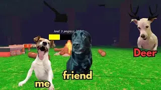 99 Nights in the Forest, BUT with MEME DOGS🐱 prt1 (ROBLOX)