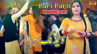 Wedding Sehra || New Duet Saraiki Song || Ameer Niazi with Ustad Nazakat Ameer |  New Song 2021