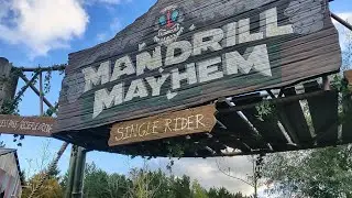 Mandrill Mayhem Chessington World Of Adventures Passholder Day