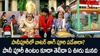 పానీ పూరీ తింటం తెలీదా | Actress Hema Comedy Scenes | NavvulaTV