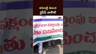 YS Jagan & YCP Leaders Walkout from AP Assembly Sessions: అసెంబ్లీ నుంచి వైసీపీ వాకౌట్ | NTV Telugu