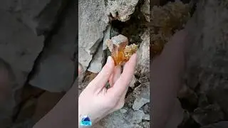 #stone #stones #stoneid #freestone #stoneapp #rockid #rockapp #rockfinder #CrystalGuide