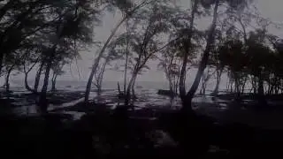 Hurricane Madeline - Waves Crashing Into The East Coast