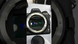 Nikon Z7 Camera & Nikon AF-S Nikkor 85mm f/1.4G Lens photography 8k