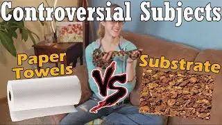 Con-Sub: Paper Towels vs Substrate