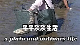平平淡淡生活 A plain and ordinary life