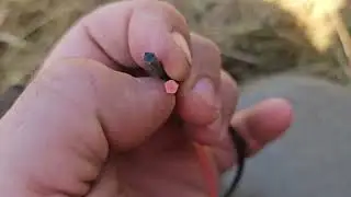 El mejor hilo para desbrozadora. Stihl 3,3mm vs husqvarna core cut 3,3mm