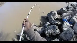 Bank fishing with Dead Red Spray for Channel Cats! #catfishing