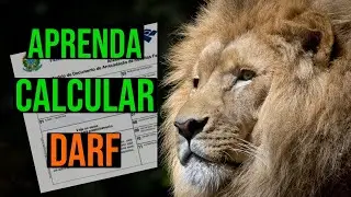 Como calcular DARF na pr&aacute;tica - Day trade [2022]