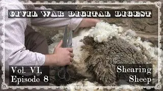 Shearing Sheep - Vol. VI, Episode 8