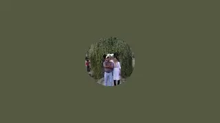 Kiran ka bagicha is live