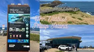 The Nobbies Phillip island Victoria Australia
