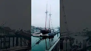 Spirit of Dana Point Schooner #shorts #sailing #ship
