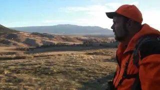 SOA Southern CO Elk Hunting