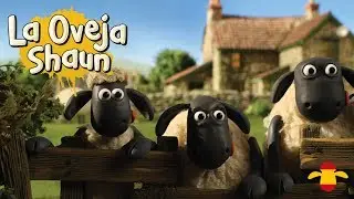 Cena romántica - La Oveja Shaun