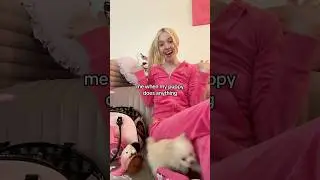 я, когда мой щенок что-нибудь делает