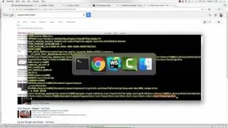 Golang Package Management, Namespacing, Envrionment Variables