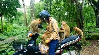 Thanks Yat,for try to collected all Sovanateam with the Motor to feed them, Sovana Torres did before