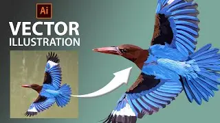Kingfisher Bird Illustration | Vector Art | Vector Illustration | Speed Art | adobe illustrator