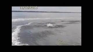 Destin Dolphin and Sunset Cruises on SunVenture video