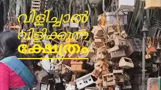Naturel  temple  #കൊല്ലങ്കോട്