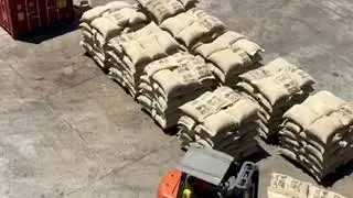 Cocoa Beans - Stuffing Containers